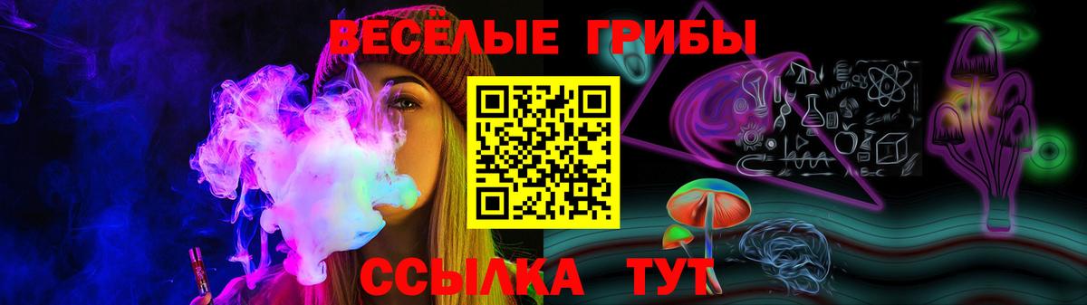 Псилоцибиновые грибы Cubensis  Вход с VPN  Галлюциногенные грибы Cubensis  Красноармейск 